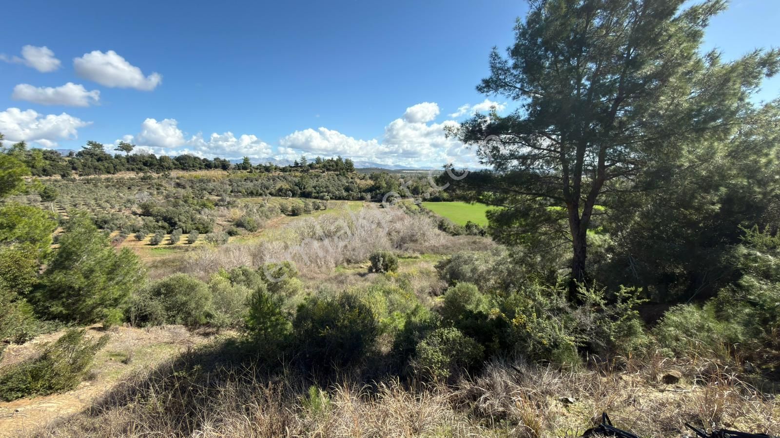 Manavgat Evrenleryavşı'da Tek Tapu Satılık Tarla - Görsel 16