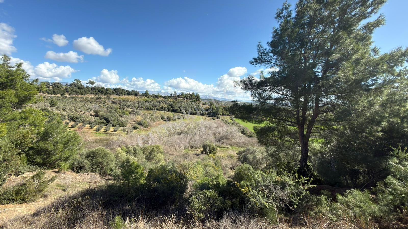 Manavgat Evrenleryavşı'da Tek Tapu Satılık Tarla - Görsel 11