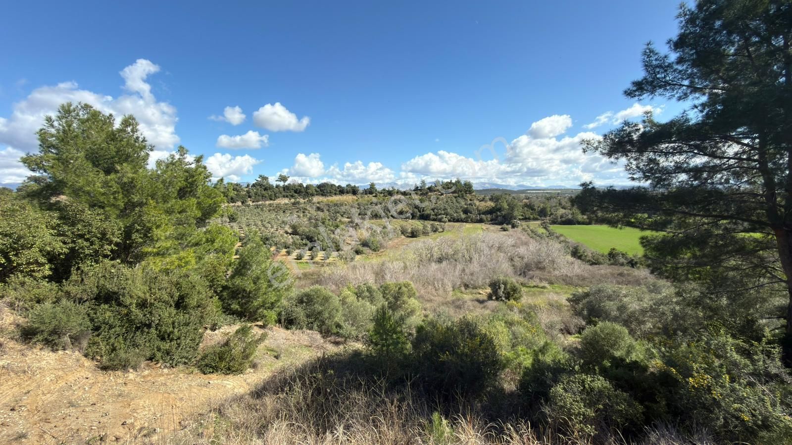 Manavgat Evrenleryavşı'da Tek Tapu Satılık Tarla - Görsel 15