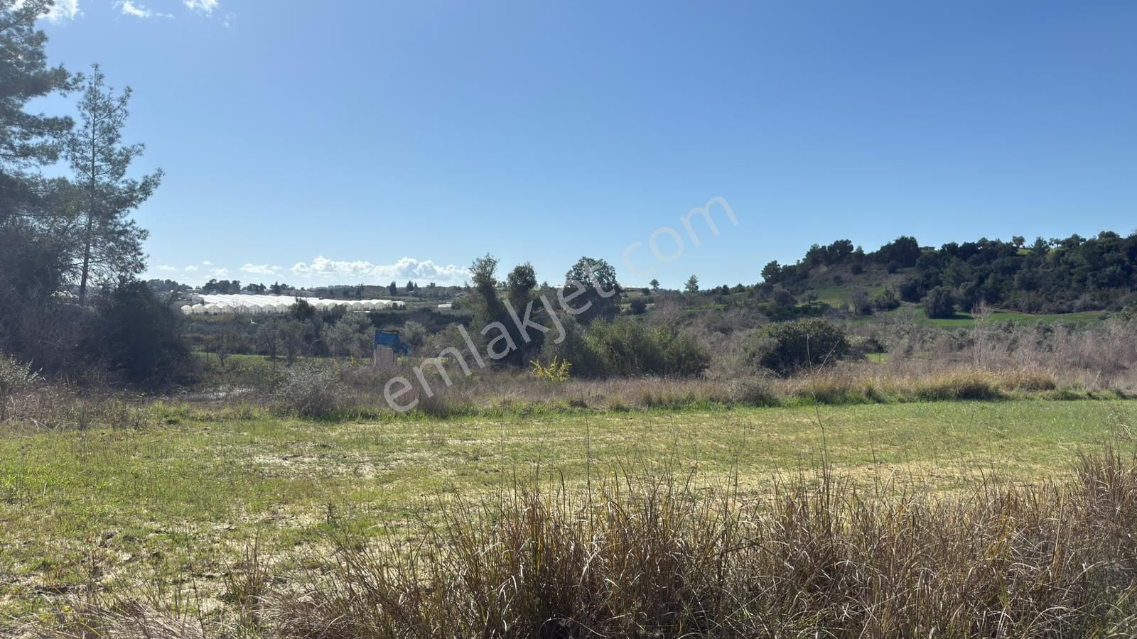 Manavgat Evrenleryavşı'da Tek Tapu Satılık Tarla - Görsel 9