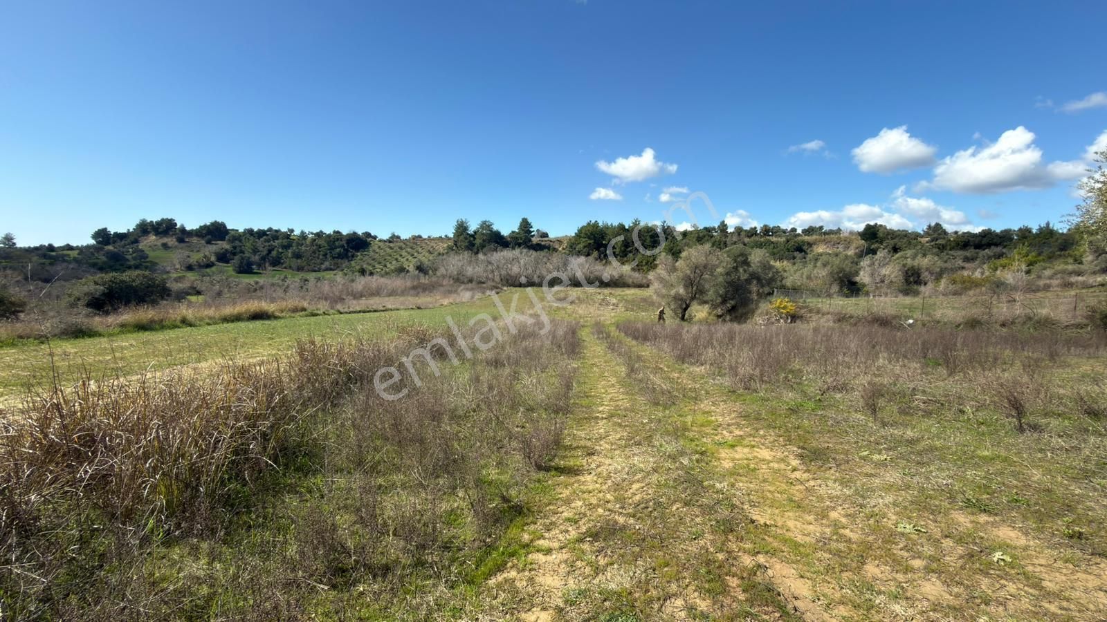 Manavgat Evrenleryavşı'da Tek Tapu Satılık Tarla - Görsel 4