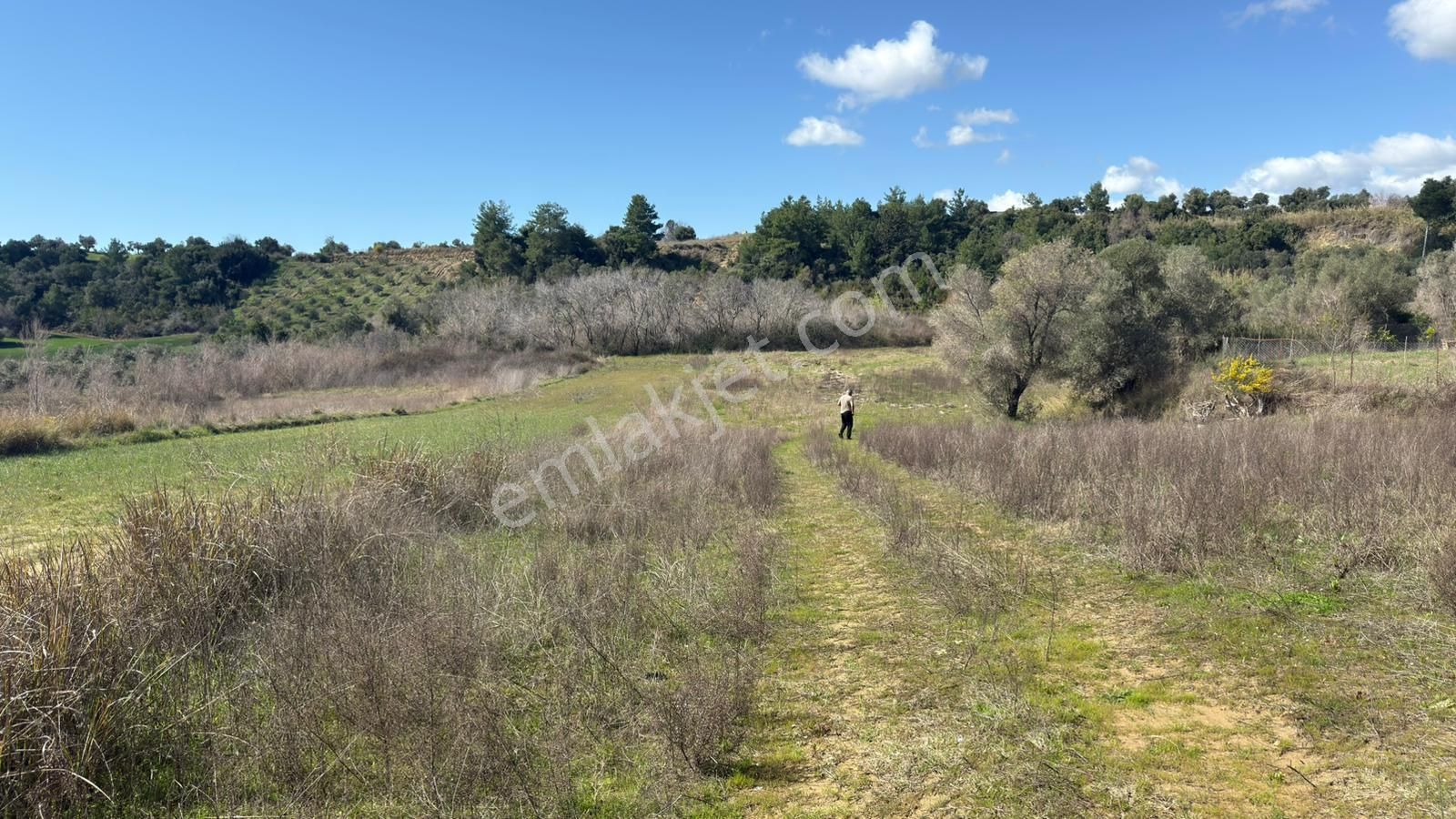 Manavgat Evrenleryavşı'da Tek Tapu Satılık Tarla - Görsel 5
