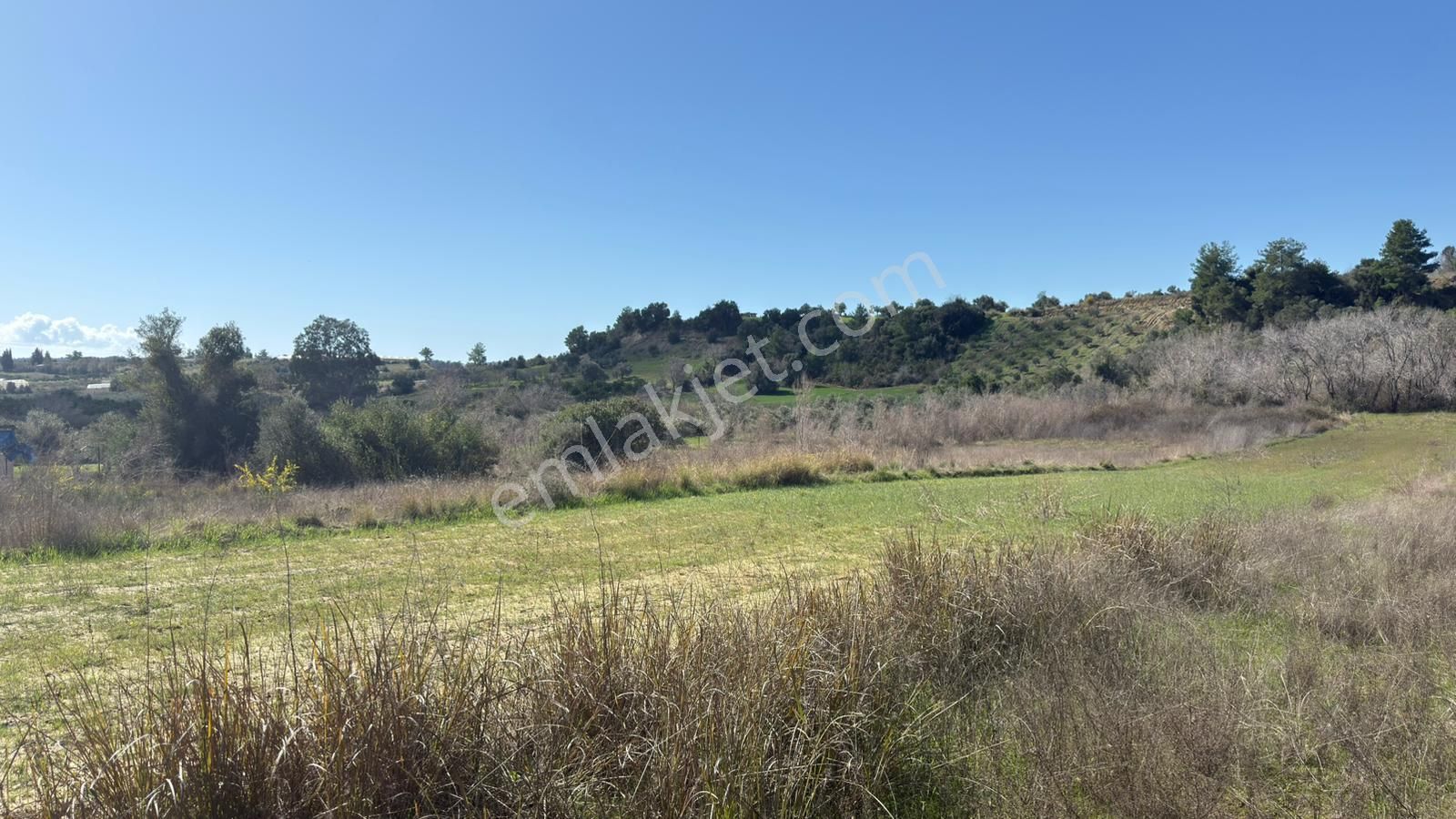 Manavgat Evrenleryavşı'da Tek Tapu Satılık Tarla - Görsel 12