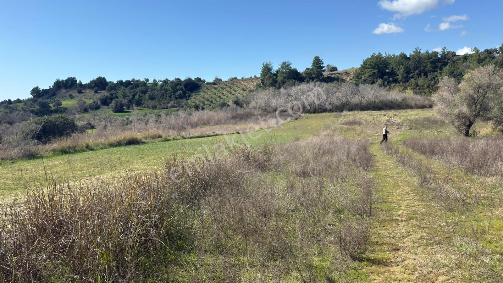 Manavgat Evrenleryavşı'da Tek Tapu Satılık Tarla - Görsel 8
