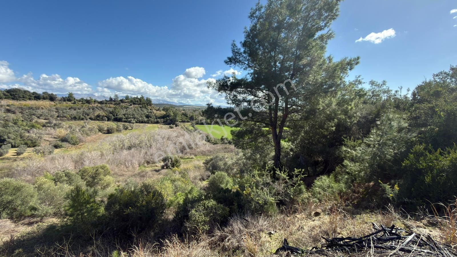 Manavgat Evrenleryavşı'da Tek Tapu Satılık Tarla - Görsel 13