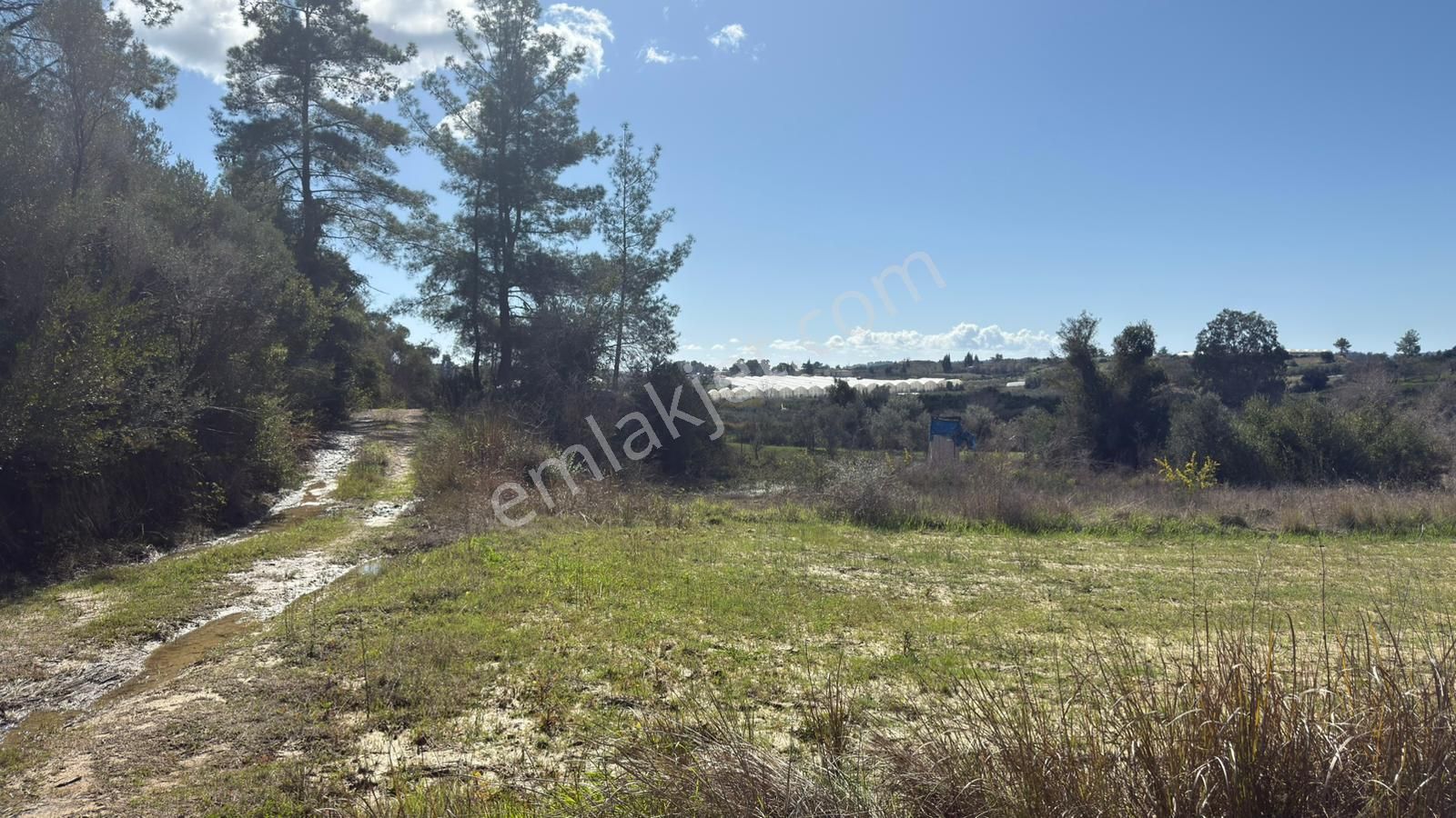 Manavgat Evrenleryavşı'da Tek Tapu Satılık Tarla - Görsel 7