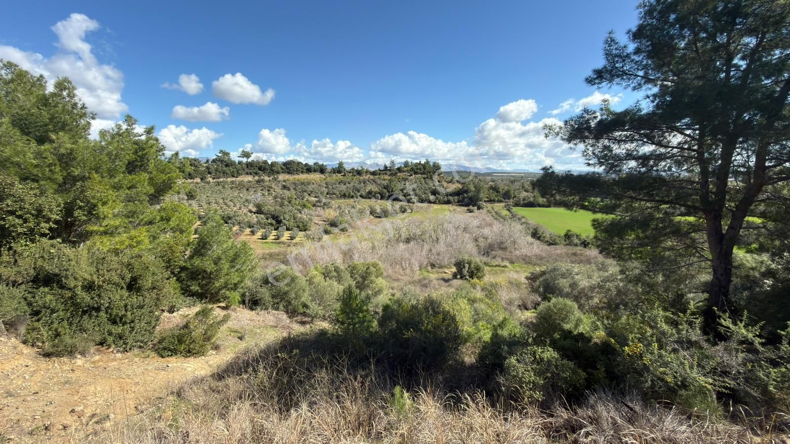 Manavgat Evrenleryavşı'da Tek Tapu Satılık Tarla - Görsel 14