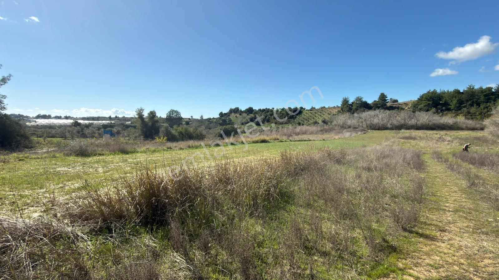 Manavgat Evrenleryavşı'da Tek Tapu Satılık Tarla - Görsel 3