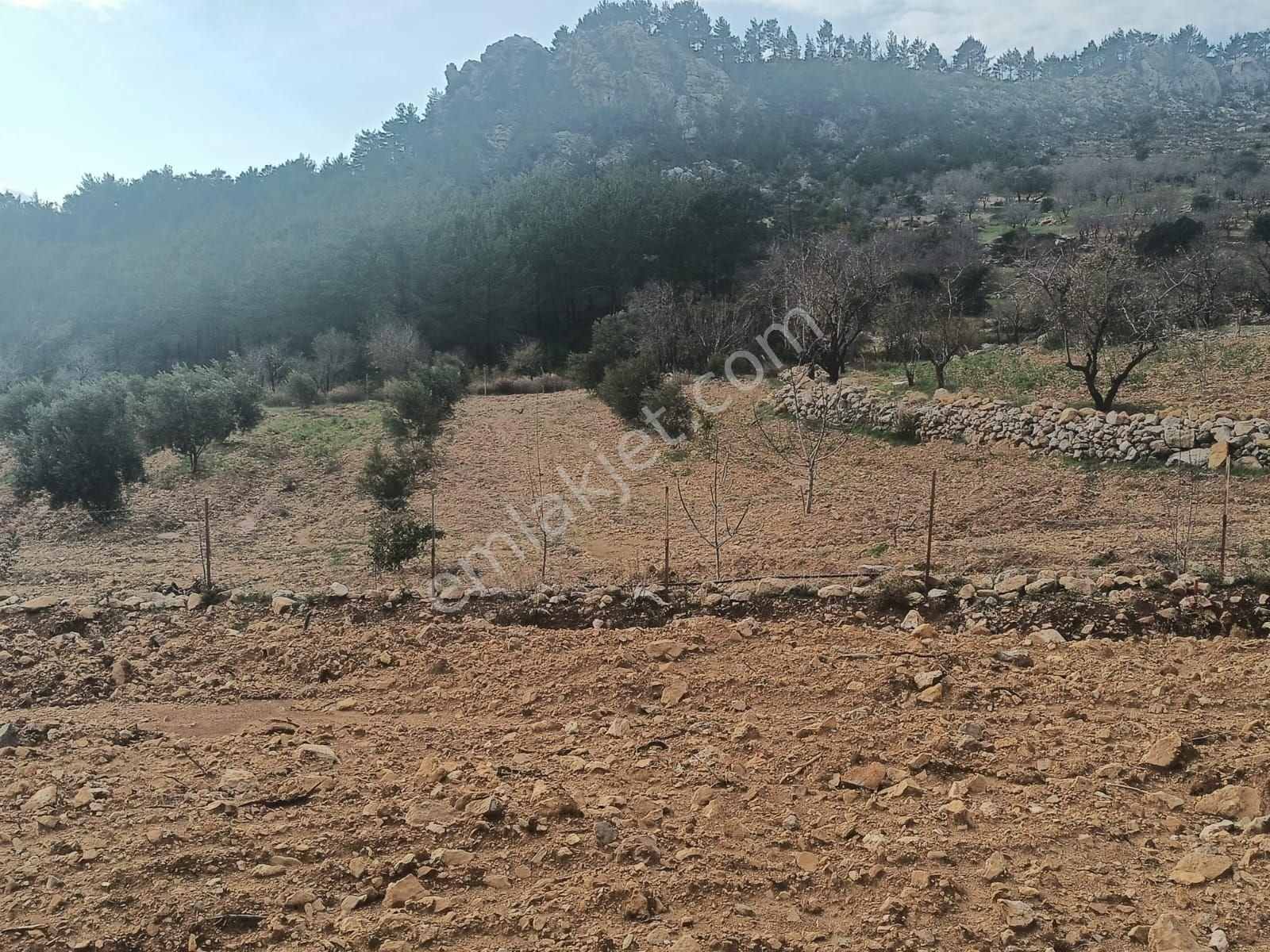 Aydıncık Emlaktan Satılık Parseller Yanyana - Görsel 5