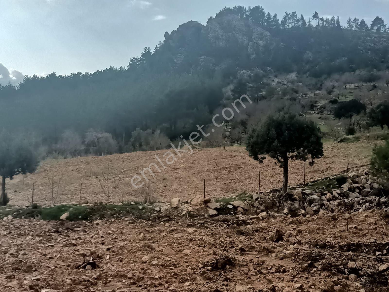 Aydıncık Emlaktan Satılık Parseller Yanyana - Görsel 8