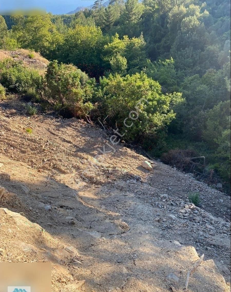Mersin Anamur Demirörende Satılık Deniz Manzaralı Ev - Görsel 16