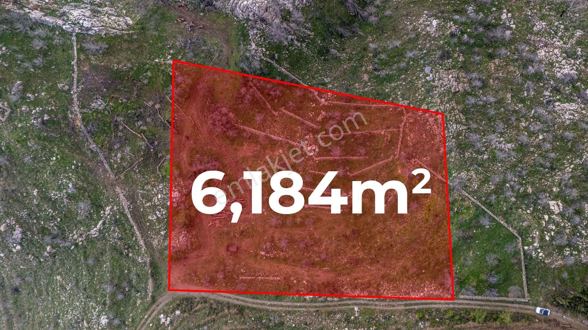 Datça Mesudiye Satılık Tarla Datça Mesudiye'de Deniz Manzaralı 6184 M2 Tarla Era Zeytinden