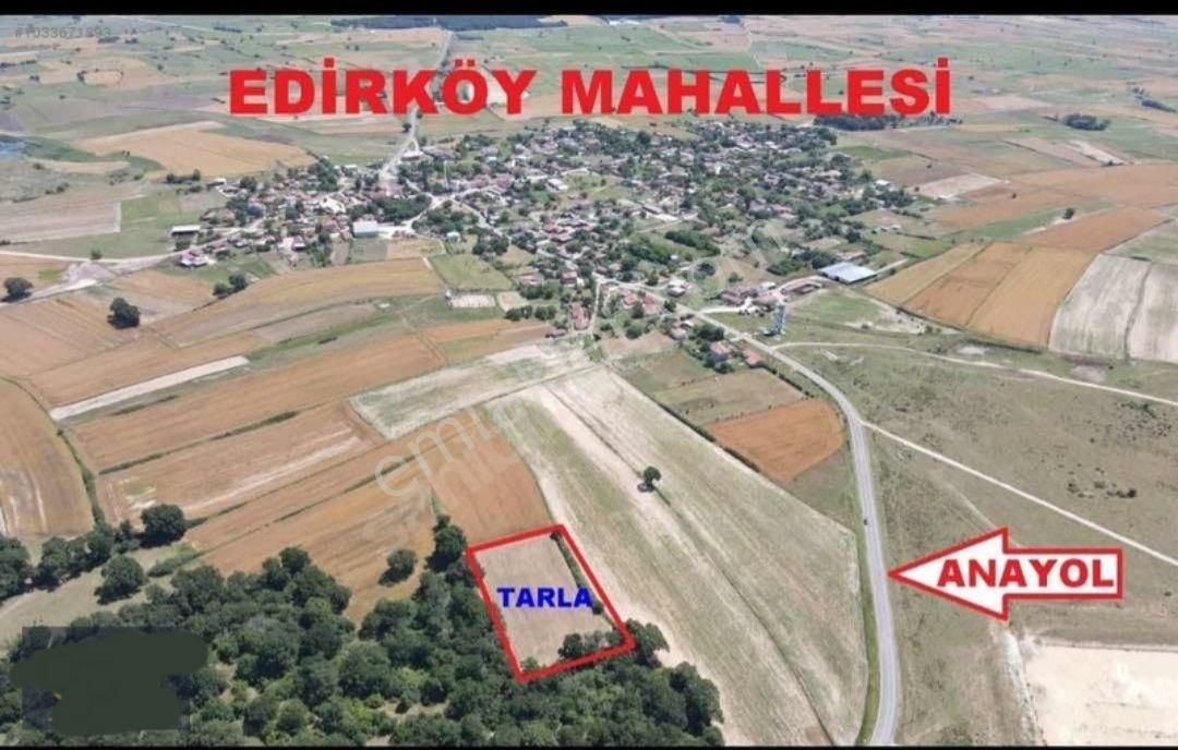 İmarın Yanıbaşında 5 Dönüm Mustakıl Parsel