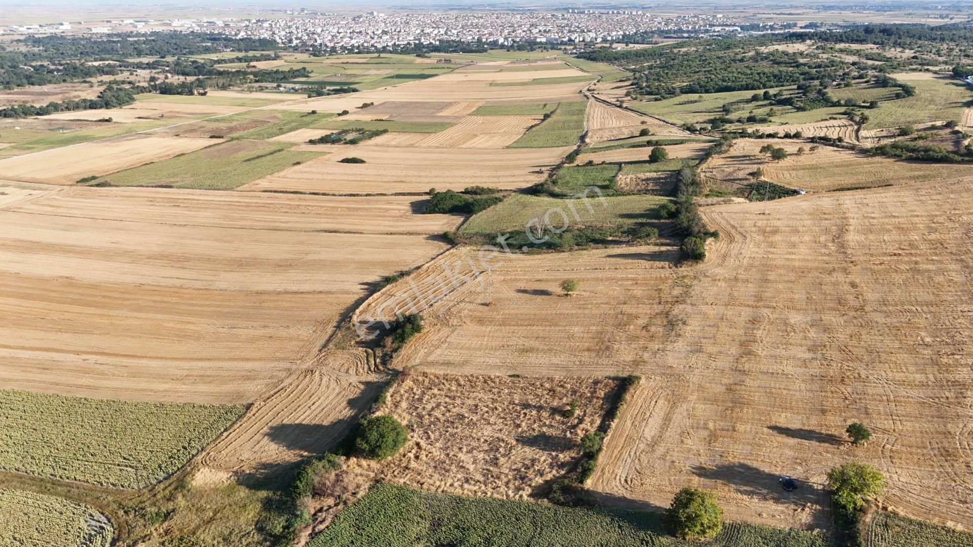 Lüleburgaz Dere Satılık Tarla Vera Gayrimenkulden Dere Mah Satılık Tarla