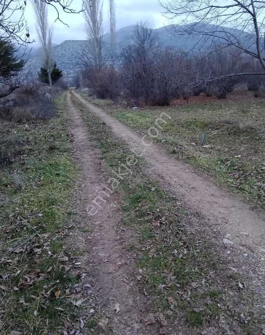 Atabey İslamköy Köyü (Hıdır) Satılık Bağ & Bahçe HARMANOREN DE YOLU OLAN YATIRIMLIK HOBİ BAHÇESİ YAPMAYA UYGUN