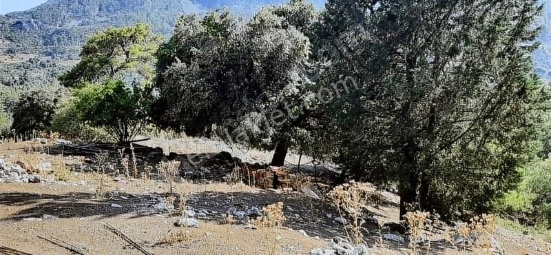 Kumluca Yazır Satılık Muhtelif Arsa OLYMPOS YAZIR'DA MUHTEŞEM YATIRIMLIK ARAZİ