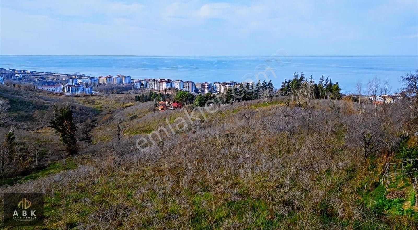 Ünye Gölevi Satılık Tarla GÖLEVİ MAHALLESİNDE TEK TAPU DENİZ MANZARALI 3346M2 SATILIK ARSA