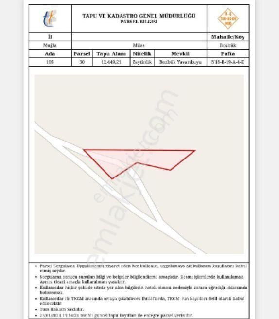 Şirin Gayrimenkül Den Muğla Milas Bozbük Kaplankaya Mevkide Satılık Zeytin Bahçesi - Görsel 2