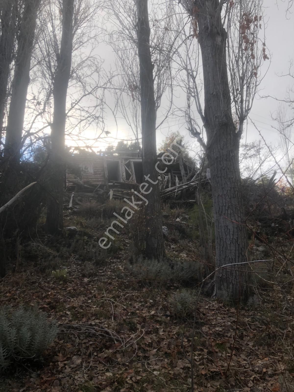 Kaş Sütleğen De Köyün İçinde Satılık Tarla - Görsel 20