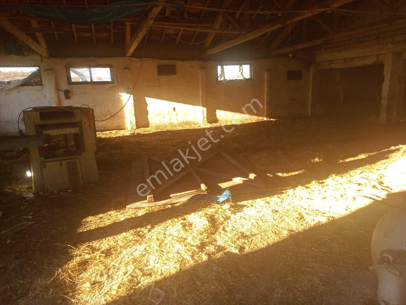 Satılık Çiftlik, İmalat Ve Üretim İçin Uygun İçinde 650 M2 Betonarme Yapı Bulunan 6.205 M2 Arazi - Görsel 10