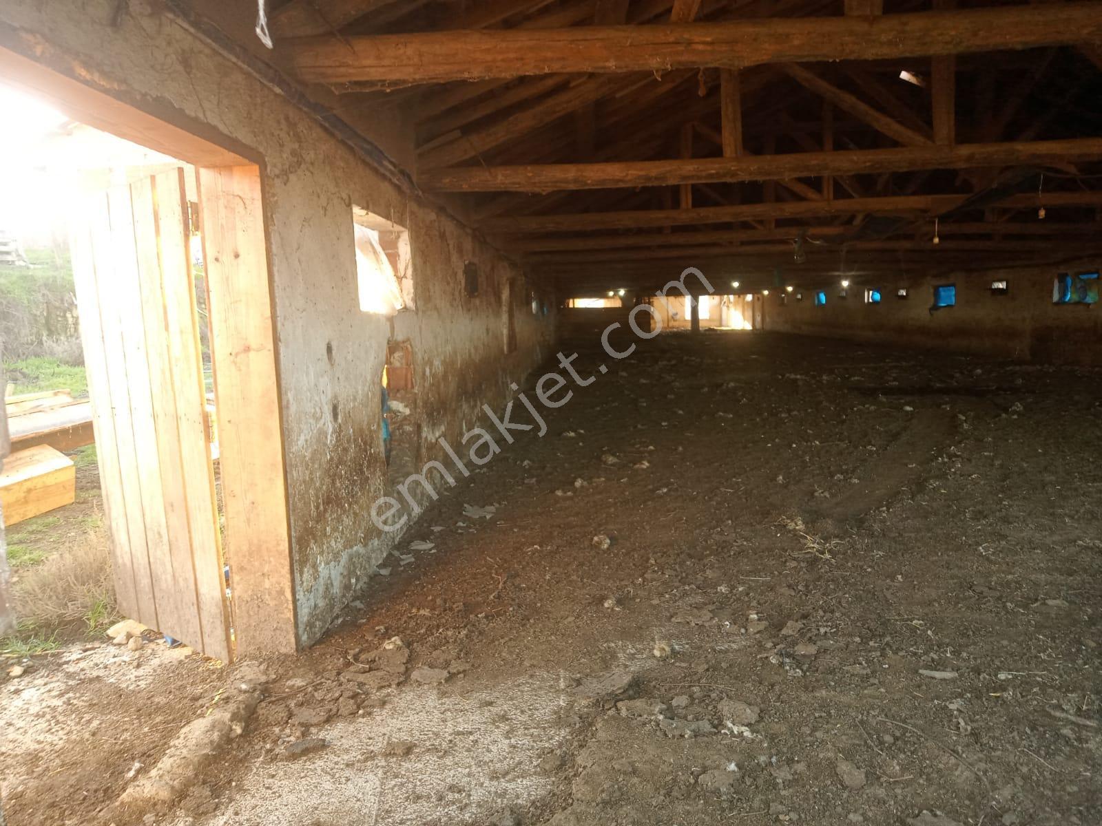 Satılık Çiftlik, İmalat Ve Üretim İçin Uygun İçinde 650 M2 Betonarme Yapı Bulunan 6.205 M2 Arazi - Görsel 15
