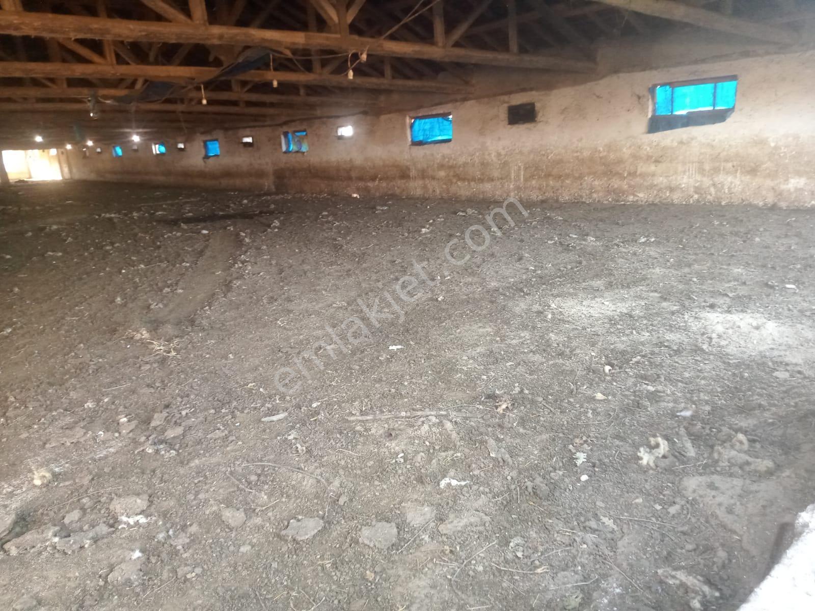 Satılık Çiftlik, İmalat Ve Üretim İçin Uygun İçinde 650 M2 Betonarme Yapı Bulunan 6.205 M2 Arazi - Görsel 12