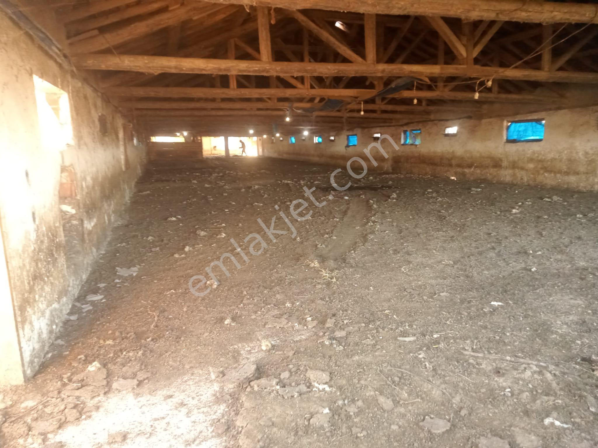 Satılık Çiftlik, İmalat Ve Üretim İçin Uygun İçinde 650 M2 Betonarme Yapı Bulunan 6.205 M2 Arazi - Görsel 16