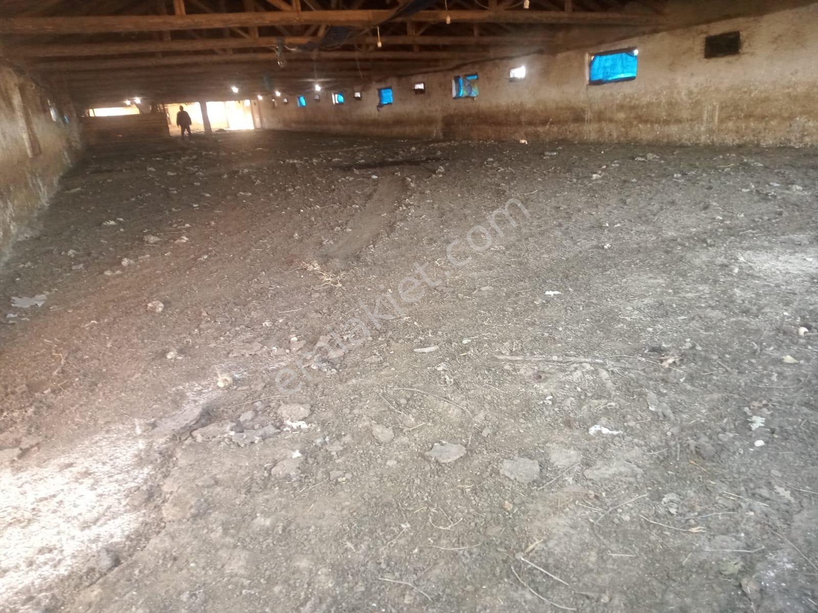 Satılık Çiftlik, İmalat Ve Üretim İçin Uygun İçinde 650 M2 Betonarme Yapı Bulunan 6.205 M2 Arazi - Görsel 11