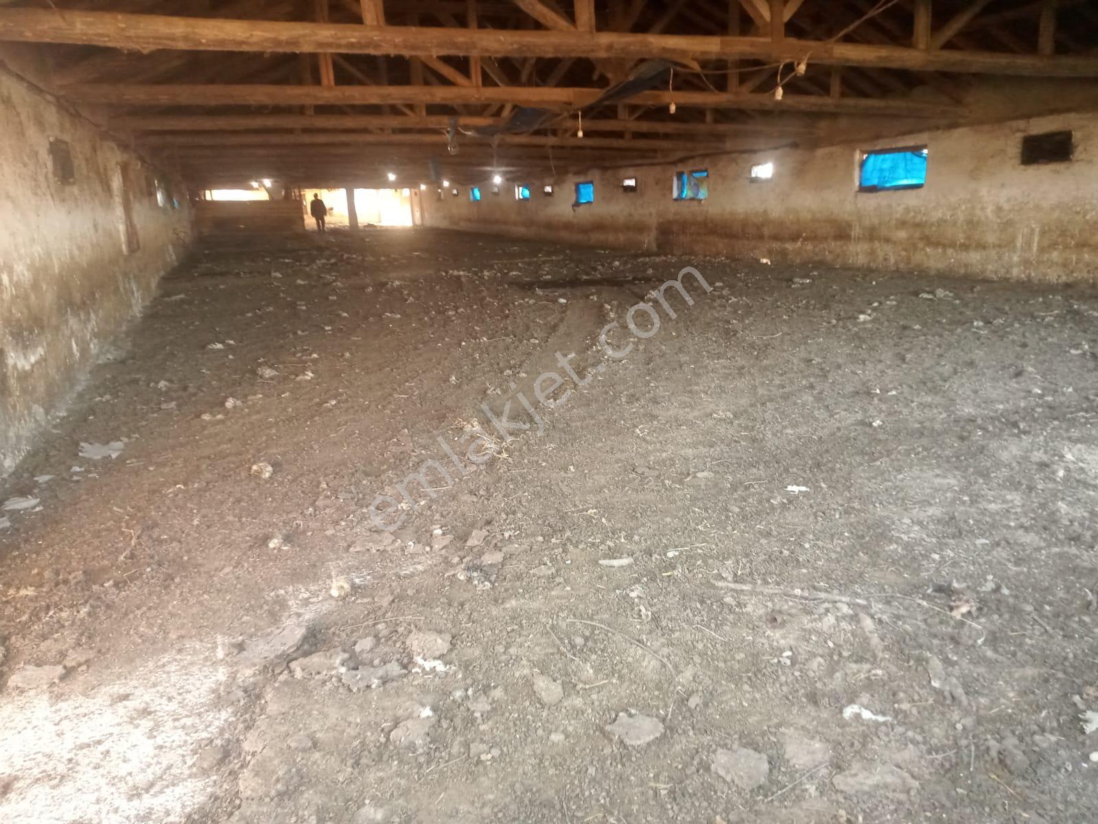 Satılık Çiftlik, İmalat Ve Üretim İçin Uygun İçinde 650 M2 Betonarme Yapı Bulunan 6.205 M2 Arazi - Görsel 14
