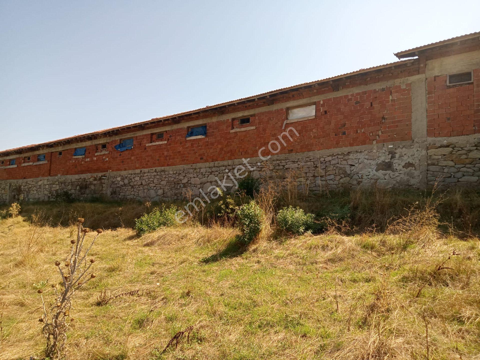 Satılık Çiftlik, İmalat Ve Üretim İçin Uygun İçinde 650 M2 Betonarme Yapı Bulunan 6.205 M2 Arazi - Görsel 6