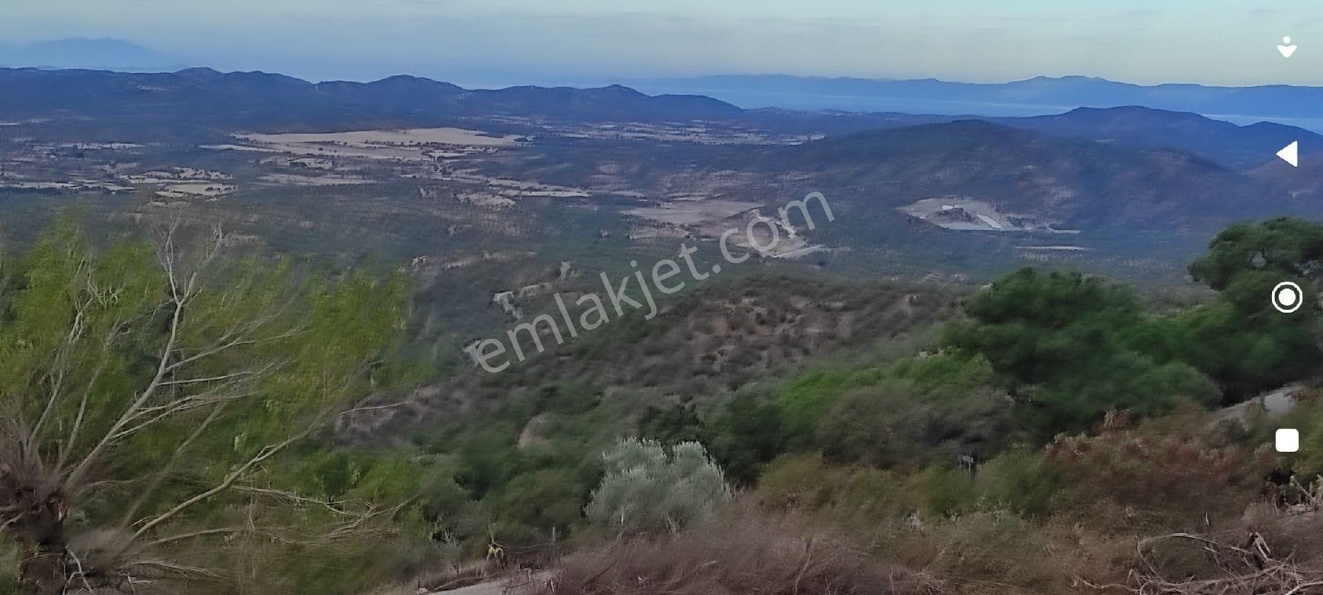 Burhaniye Avunduk Satılık Tarla Doğa ve deniz manzaralı İmarlı arsa