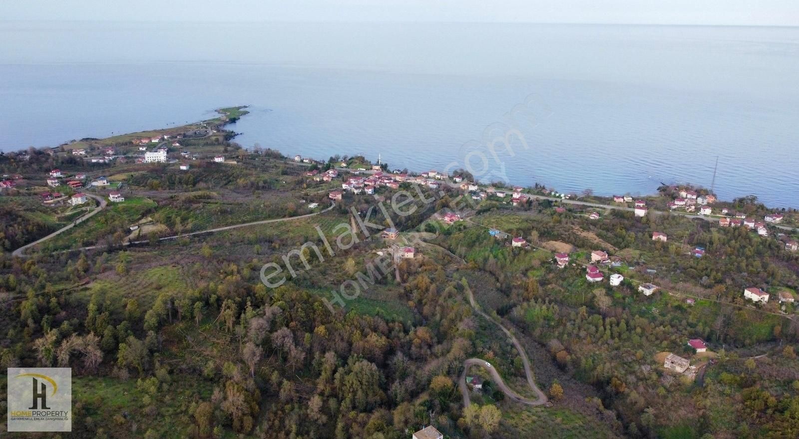 Perşembe Çaytepe Satılık Bağ & Bahçe ÇAYTEPE YASON A 1 KM 11.DÖNÜM MÜSTAKİ TEK TAPU SATILIK