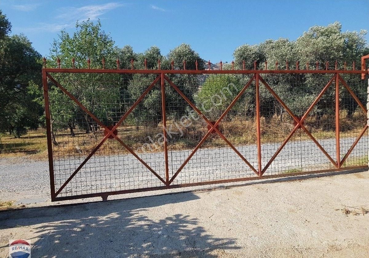 Aydın Germencik'de 9500 M2 Satılık İncir Bahçesi - Görsel 2