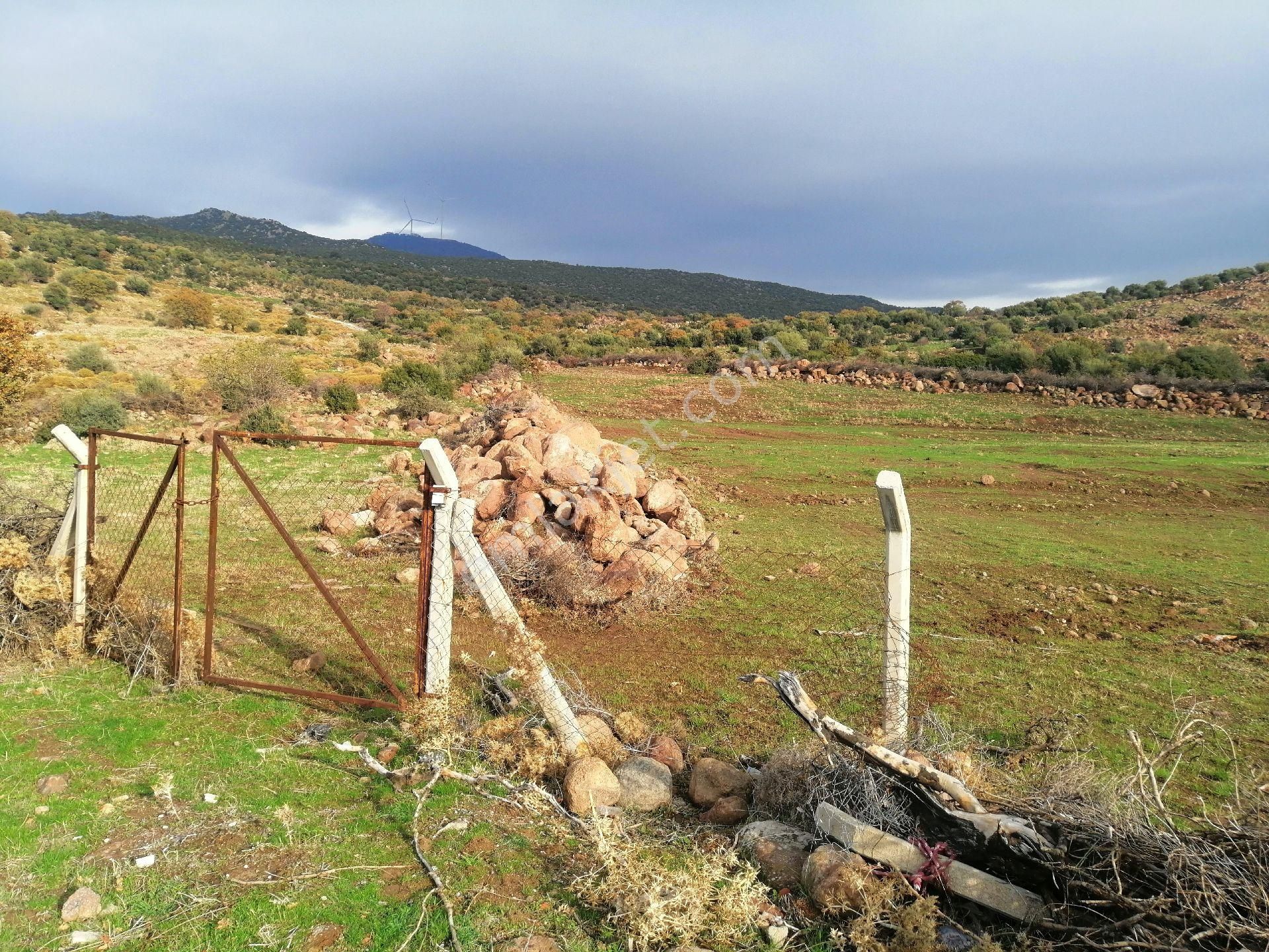 Dikili Çandarlı Satılık Toplu Konut İçin İzmir Dikili Çandarlıda 500 M2 Koparatif Arsası İmar Sınırında Denize 750 Metre Mesafede