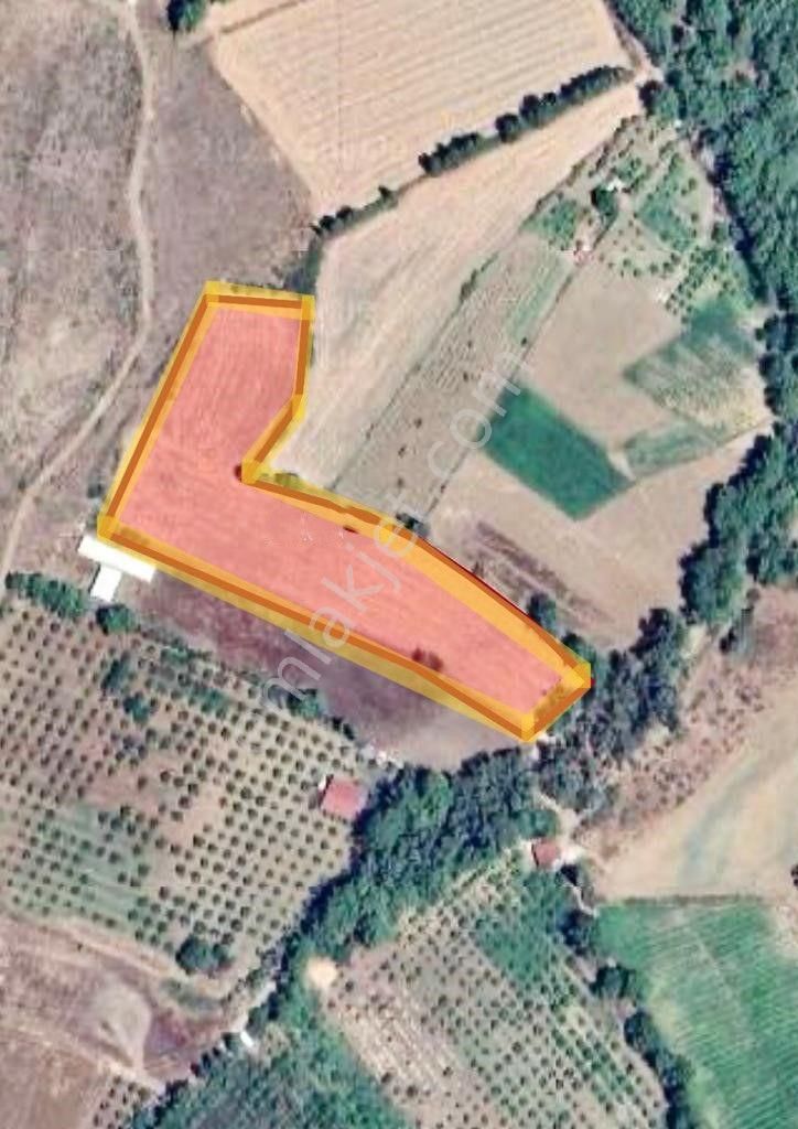 Muğla Ula Karabörtlende Fırsat Arazi - Görsel 8