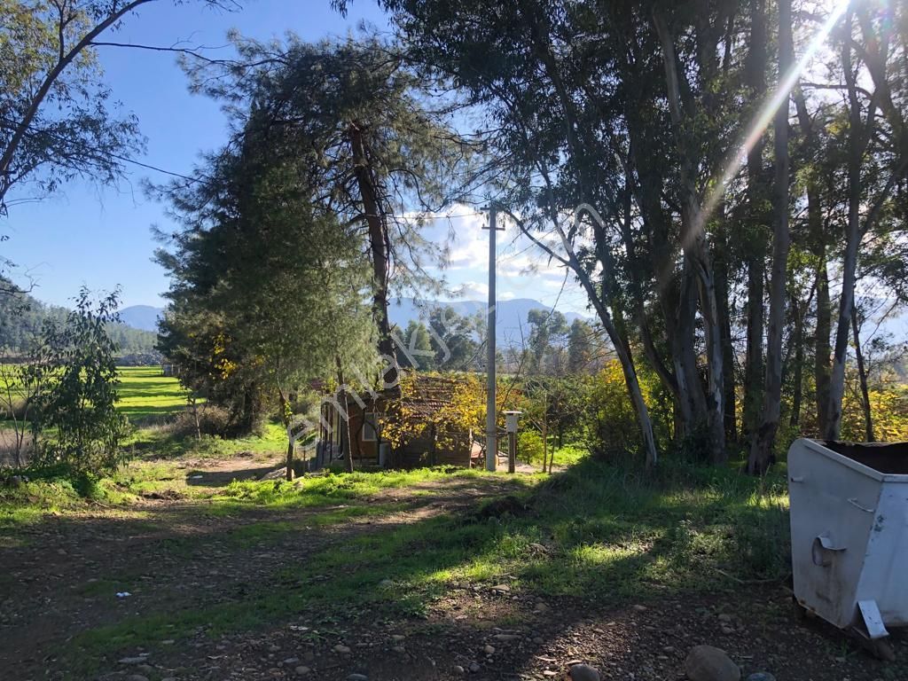 Muğla Ula Karabörtlende Fırsat Arazi - Görsel 6