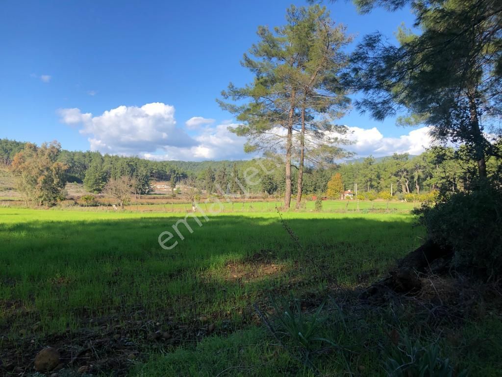 Muğla Ula Karabörtlende Fırsat Arazi - Görsel 5