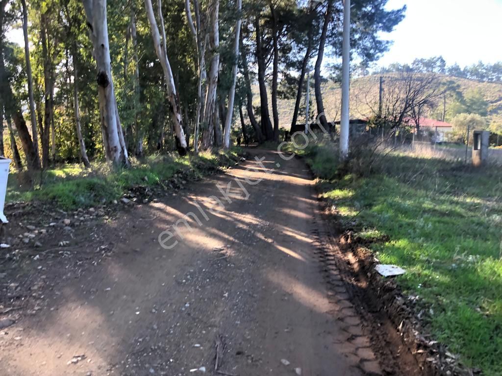 Muğla Ula Karabörtlende Fırsat Arazi - Görsel 3