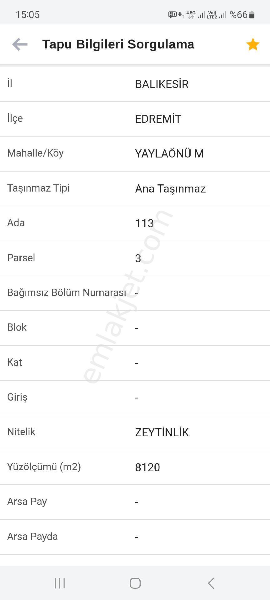 Acil Satılık, Yatırımlık Zeytinlik - Görsel 2
