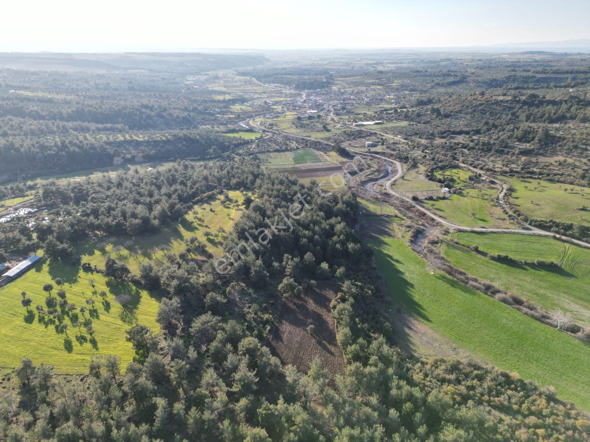 Çanakkale Merkez Dümrek Köyü Satılık Tarla  Çanakkale Dümrek Köyünde 2730 m2 Tarla