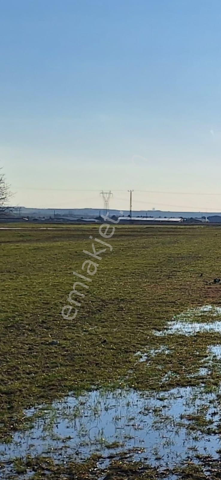 Kapaklı Karlı Satılık Bağ & Bahçe Müstakil Tapu Sahibinden 2126m2.bağ Yeri.