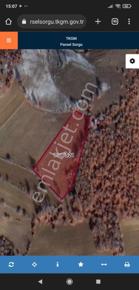 Karagöl Yaylası Na Ve Taraklı Termal E Yakın 4 Dönüm Arazi - Görsel 3