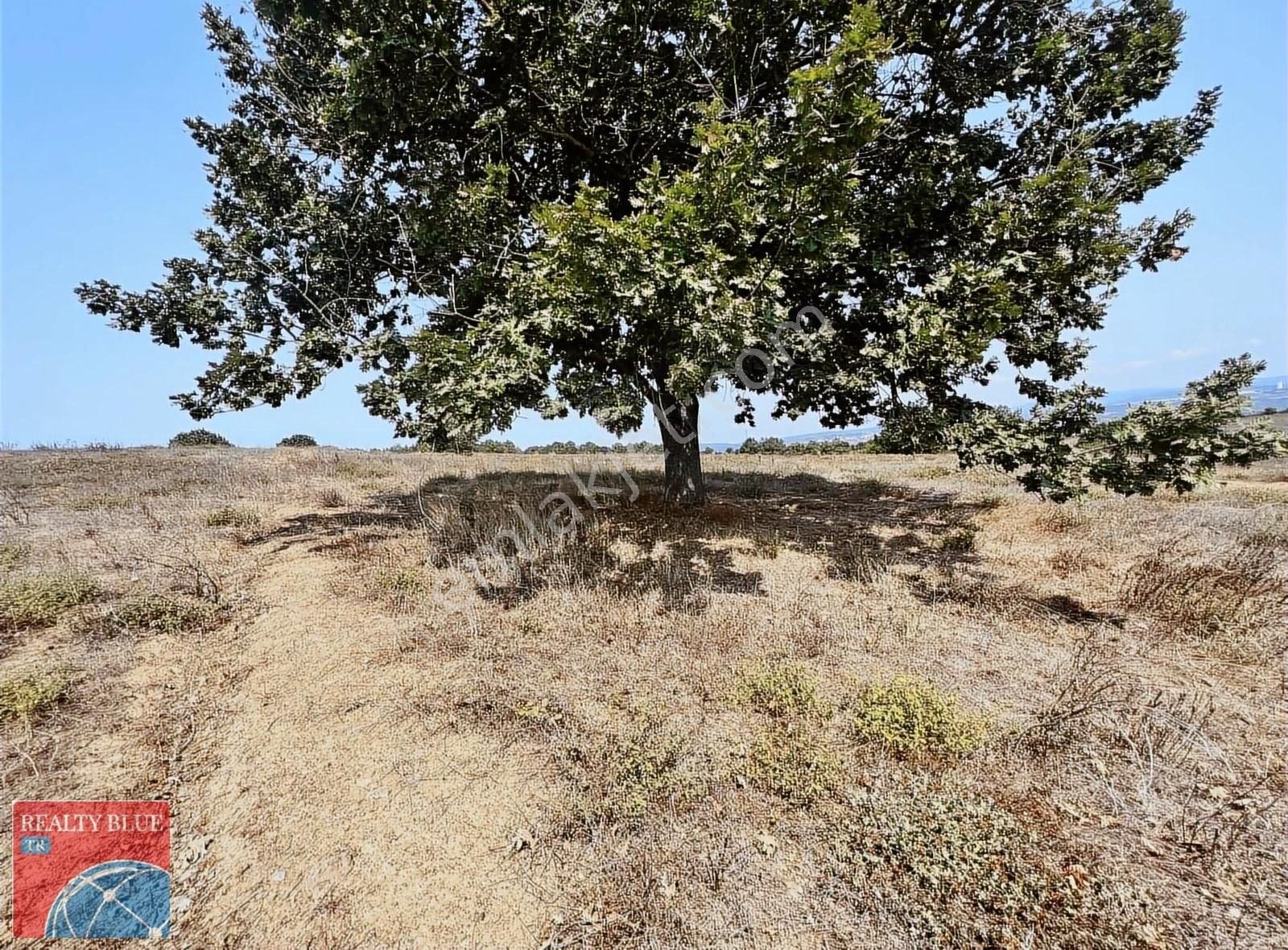 Gebze Balçık Satılık Depo, Antrepo İzinli BALÇIK'DA 7000 m2 YÜKSEK KODLU DEPOLAMA İMARLI ARSA