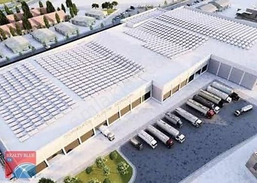 Tuzla Tepeören Kiralık Depo Tuzla Tepeörende 30.000 M2 Modern Depolama Alanları