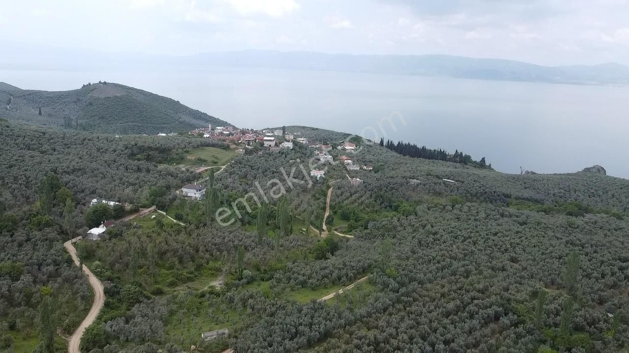 İznik Müşküle Satılık Villa İmarlı  İznik Müşküle Mahllesi Göl Manzaralı Arsa