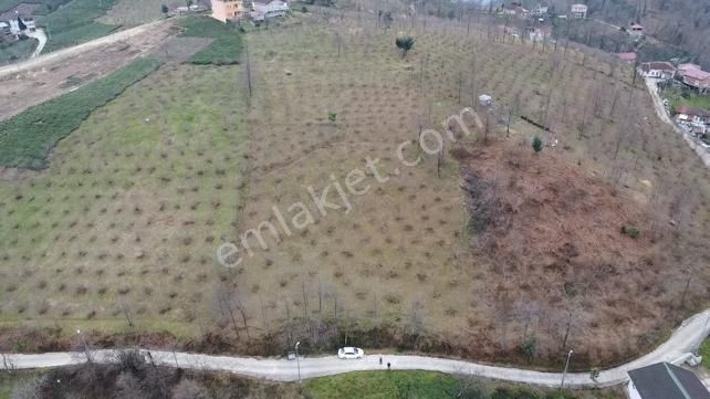 Sürmene Yukarıçavuşlu Satılık Arazi  PREMAR GAYRİMENKUL SÜRMENE Y.ÇAVUŞLUDA YATIRIMLIK SATILIK ARAZİ