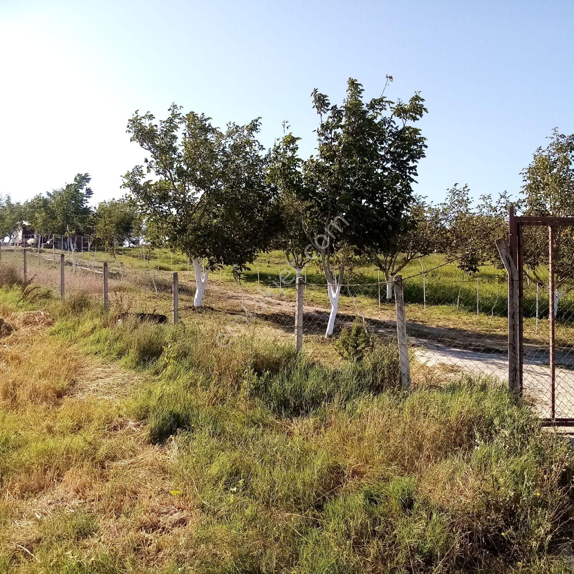 Bengisu Gayrimenkul Den Satılık Tarla - Görsel 25