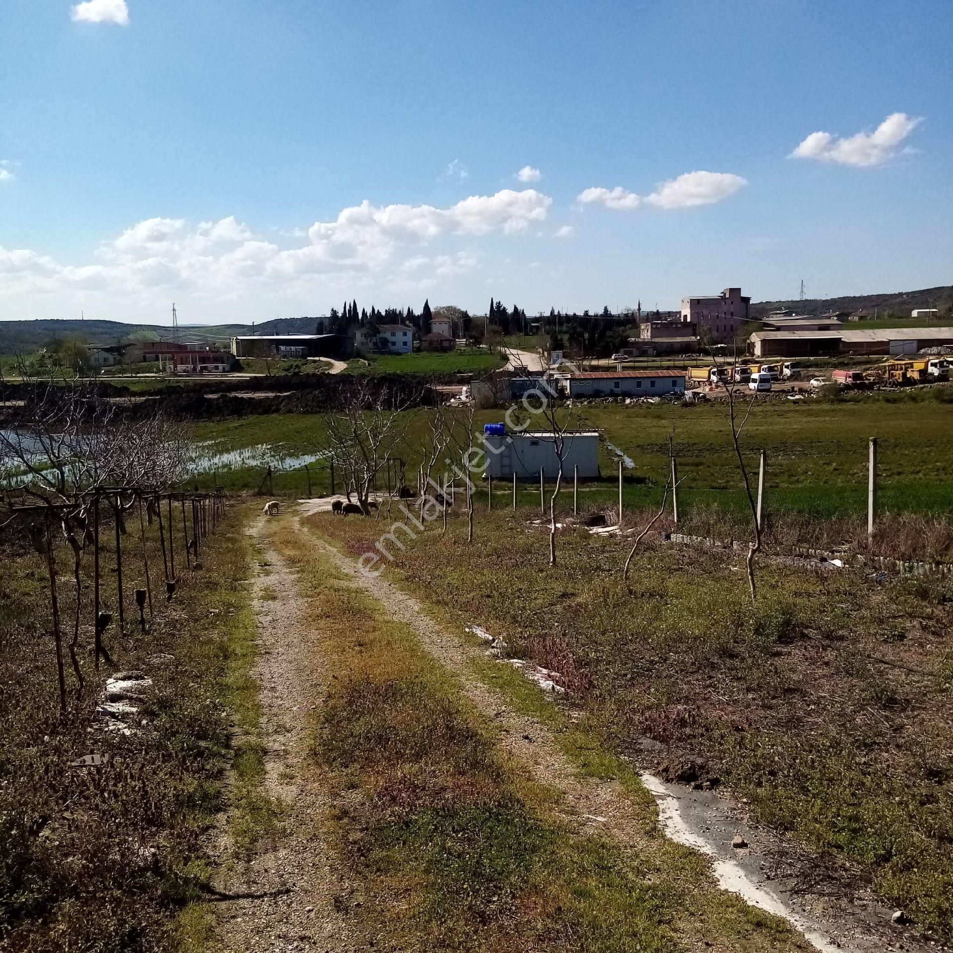 Bengisu Gayrimenkul Den Satılık Tarla - Görsel 24