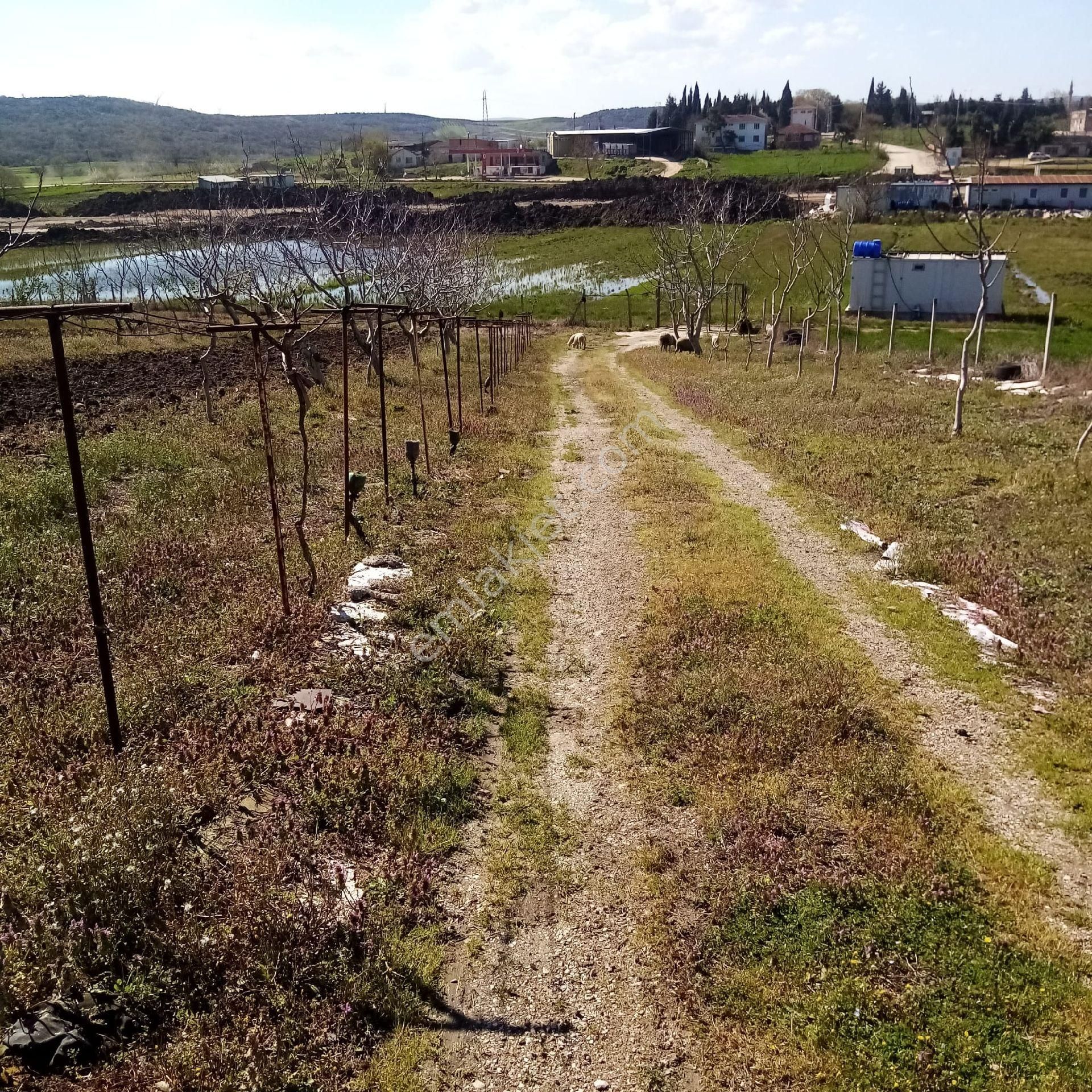 Bengisu Gayrimenkul Den Satılık Tarla - Görsel 8