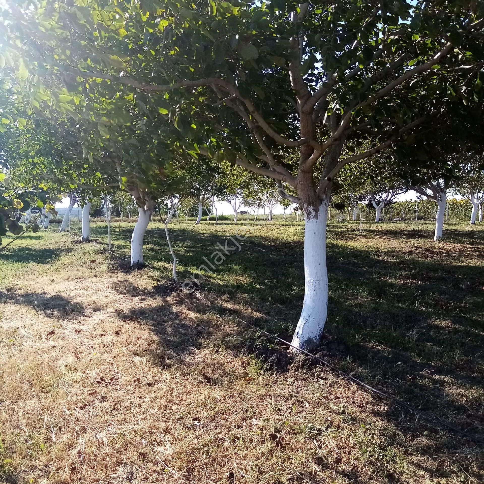 Bengisu Gayrimenkul Den Satılık Tarla - Görsel 14